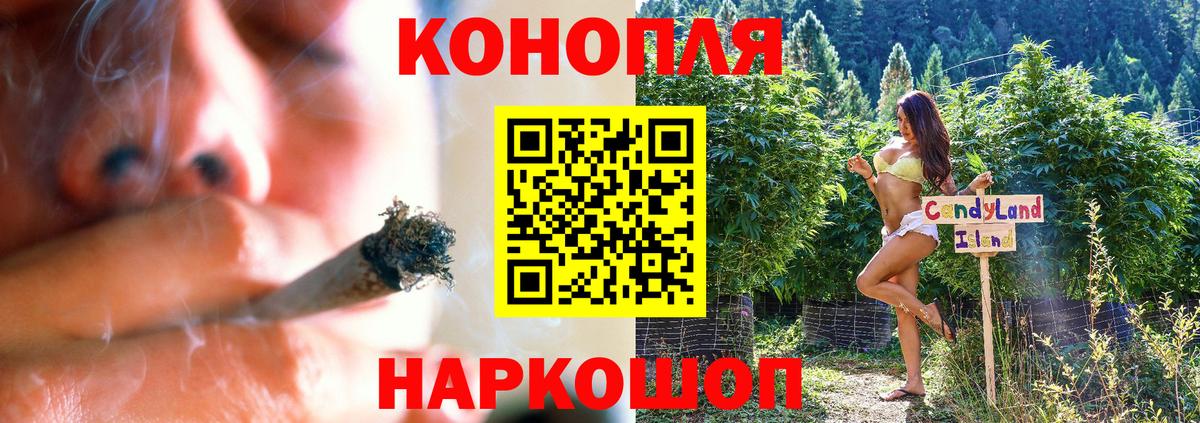 Бошки Шишки VHQ Касимов